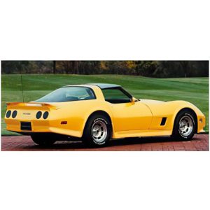 80-82 Collector Series Rear Skirts